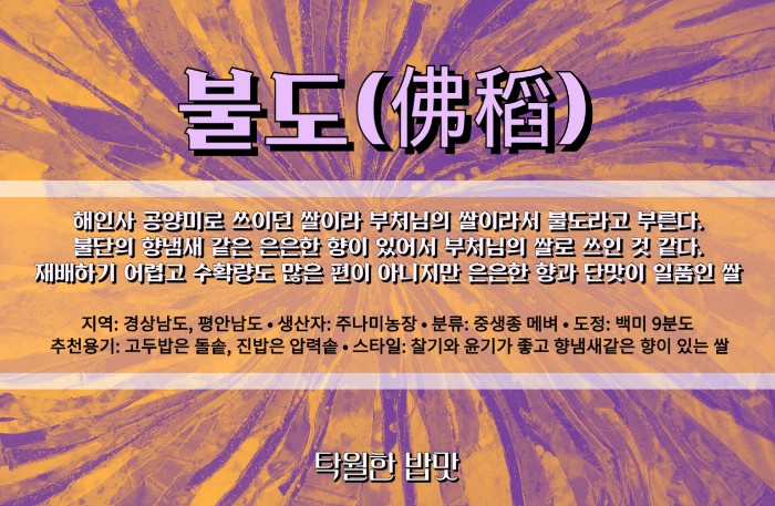 깎깎! 우리 술 글로벌 명주 만들자…! 정부·국회가 전통주에 꽂혔다
